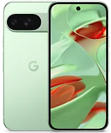 Смартфон Google Pixel 9 12/256GB Wintergreen 500_191_140739