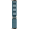 Часы Apple Watch Ultra 3 49mm Titanium Case Natural / Alpine Loop Light Blue L 100_100_640944