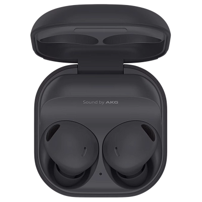 Наушники Samsung Galaxy Buds 2 Pro Graphite 400_400_627149