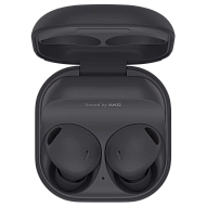 Наушники Samsung Galaxy Buds 2 Pro Graphite 500_191_703913