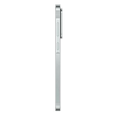 Смартфон Samsung Galaxy A56 5G 8/128 Awesome Olive (A566B) 400_400_823092