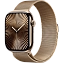 Часы Apple Watch Series 10 42mm Titanium Case Milanese Loop Gold