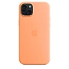 Чехол Apple iPhone 15 Silicone Case with MagSafe - Orange Sorbet 100_100_641770