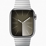 Часы Apple Watch Series 9 45mm Stainless Steel Case Link Bracelet Silver 250_100_640345