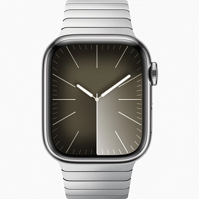 Часы Apple Watch Series 9 45mm Stainless Steel Case Link Bracelet Silver 400_400_640345