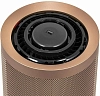 Очиститель воздуха Dyson BP04 Prussian Blue/Gold 100_100_764409