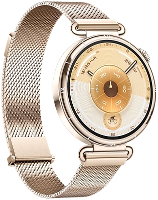 Часы Huawei Watch GT 6 41mm Gold Milano 400_400_800582