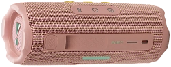Портативная колонка JBL Flip 7 Pink 250_100_813182