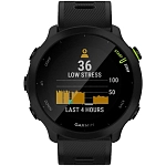 Часы Garmin Forerunner 55 Black 250_100_743476