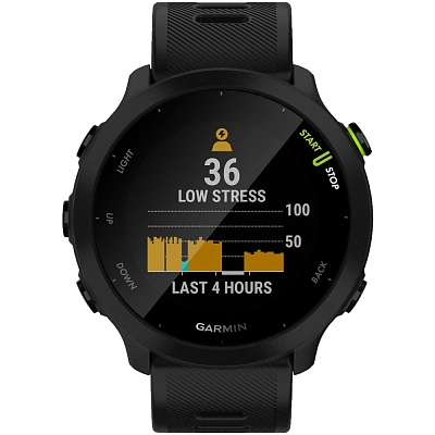 Часы Garmin Forerunner 55 Black 400_400_743476