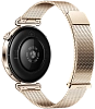 Часы Huawei Watch GT 6 41mm Gold Milano 100_100_800584
