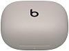 Наушники Beats Powerbeats Pro 2 Quick Sand 100_100_864019