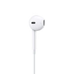 Наушники Apple EarPods (USB-C) 250_100_627079