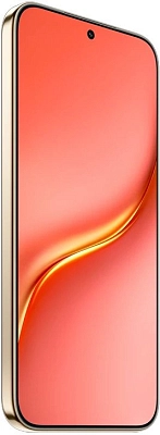 Смартфон Honor X9e Pro 6/256GB Reddish Brown 400_400_876172