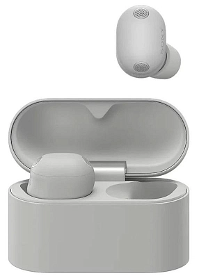 Наушники Sony WF-1000XM6 Silver 400_400_723052