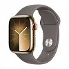 Часы Apple Watch Series 9 45mm Gold Stainless Steel Case Sport Band Clay S/M 100_100_117795