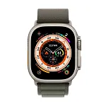 Ремешок Apple Watch Ultra 49 мм Alpine Loop Green S 250_100_117607