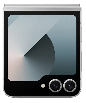 Смартфон Samsung Galaxy Z Flip 6 12/256 Silver 400_400_688266