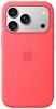 Чехол для iPhone 17 Pro Silicone Case with MagSafe – Bright Guava 100_100_737794