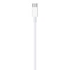 Кабель Apple USB-C/Lightning (1м) 100_100_746909