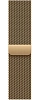 Часы Apple Watch Series 12 46mm Titanium Case Radiant Gold Milanese Loop S/M 100_100_851953