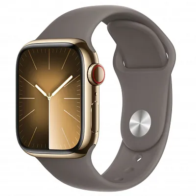 Часы Apple Watch Series 9 45mm Gold Stainless Steel Case Sport Band Clay M/L 400_400_117791