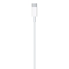 Кабель для Apple USB-C/Lightning (2м) 100_100_626885