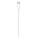 Кабель для Apple USB-C/Lightning (1м) 250_100_626881