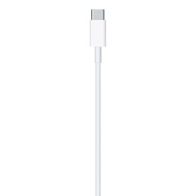 Кабель для Apple USB-C/Lightning (2м) 400_400_626885