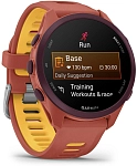 Часы Garmin Forerunner 170 Music Red Pink 250_100_801977