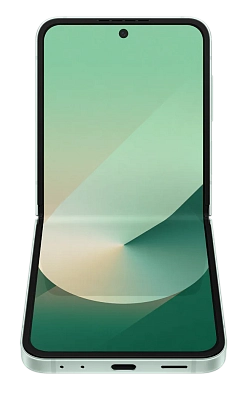 Смартфон Samsung Galaxy Z Flip 6 12/256 Mint 400_400_688263