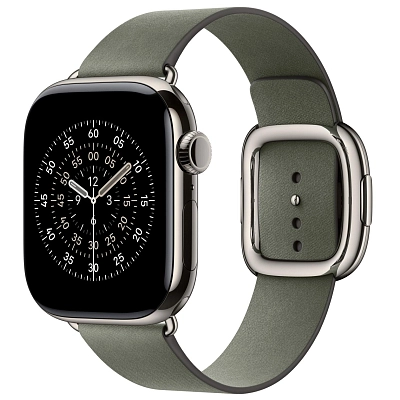 Ремешок Apple Watch 42 мм Modern Buckle Sage Gray - M 400_400_694232
