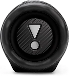 Портативная колонка JBL Charge 6 Black 250_100_756386