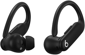 Наушники Beats Powerbeats Pro 2 Jet Black 500_191_864014