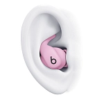 Наушники Beats Powerbeats Fit Power Pink 250_100_834365