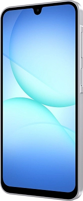 Смартфон Samsung Galaxy A17 8/256GB Gray 400_400_822606