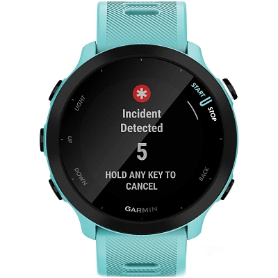 Часы Garmin Forerunner 55 Aqua 400_400_743436