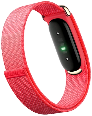 Фитнес-браслет Google Fitbit Air Berry 400_400_763242