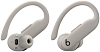 Наушники Beats Powerbeats Pro 2 Quick Sand 100_100_864018