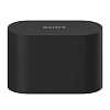 Наушники Sony WF-1000XM6 Black 100_100_723046