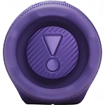 Портативная колонка JBL Charge 6 Purple 250_100_756391