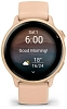 Часы Garmin Vivoactive 6 Pink 100_100_806325