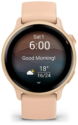 Часы Garmin Vivoactive 6 Pink 400_400_806325