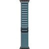 Часы Apple Watch Ultra 3 49mm Titanium Case Black / Alpine Loop Light Blue L 100_100_640912