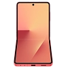 Смартфон Samsung Galaxy Z Flip 7 12/512GB Coral Red (SM-F966B) 100_100_639062