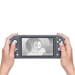 Игровая приставка Nintendo Switch Lite Gray 250_100_626753