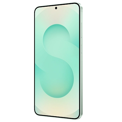 Смартфон Samsung Galaxy S25+ 12/512GB Mint (S936B) 400_400_511925
