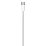 Кабель для Apple USB-C/Lightning (1м) 250_100_119481