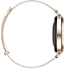 Часы Huawei Watch GT 6 41mm Gold Milano 100_100_800583