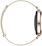 Часы Huawei Watch GT 6 41mm Gold Milano 250_100_800583
